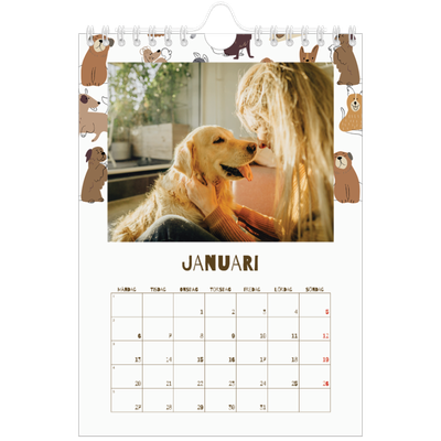 Fotokalender A5 Enkel — Lekfull valp [Januari]